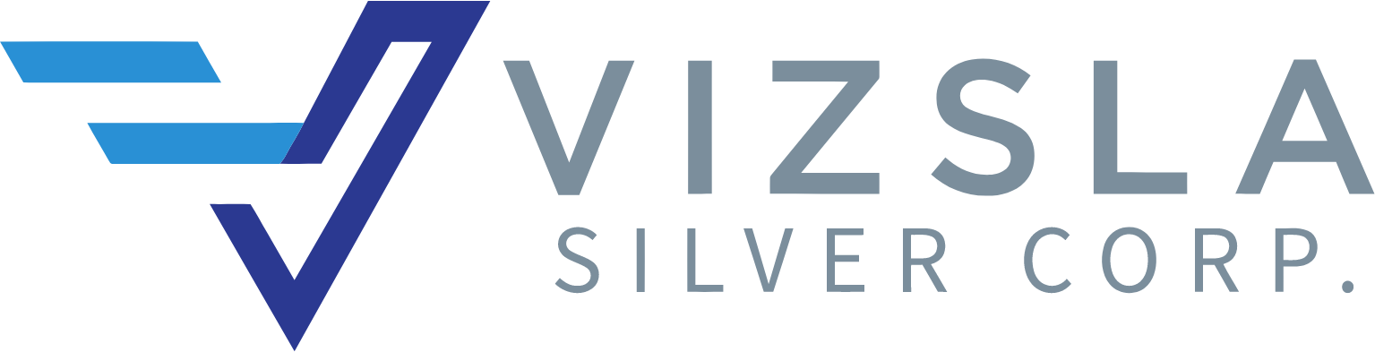 Vizsla Silver logo large (transparent PNG)