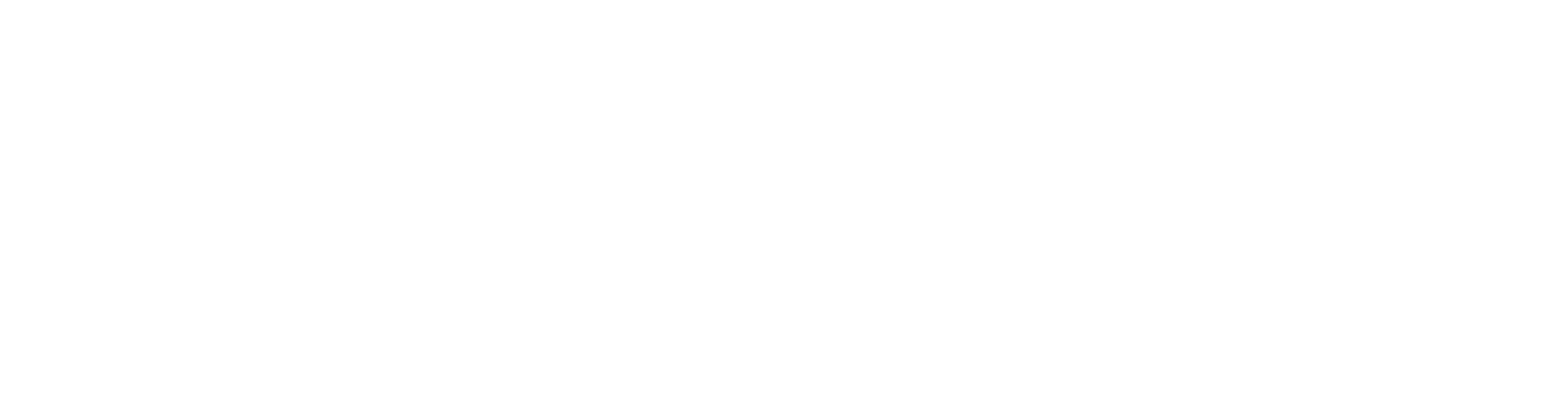 Vizsla Silver logo grand pour les fonds sombres (PNG transparent)