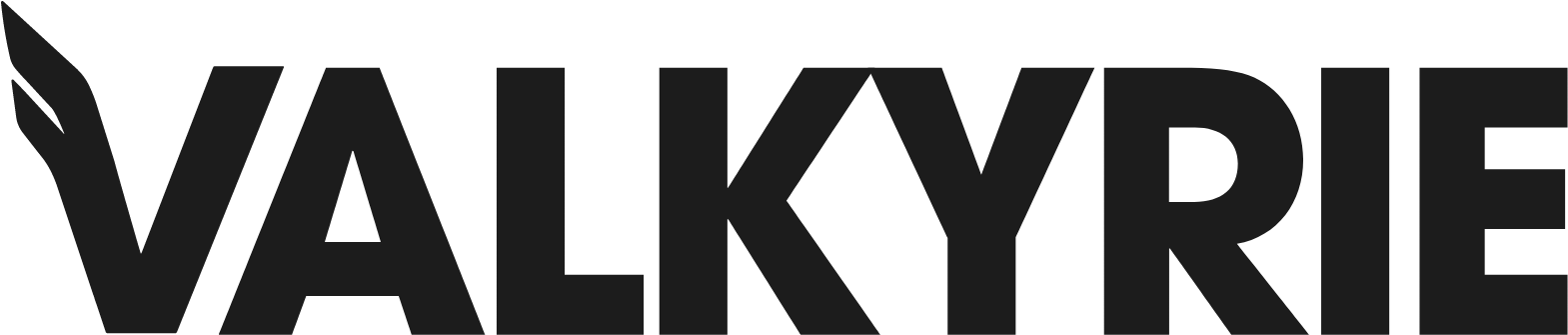 Valkyrie ETF logo large (transparent PNG)