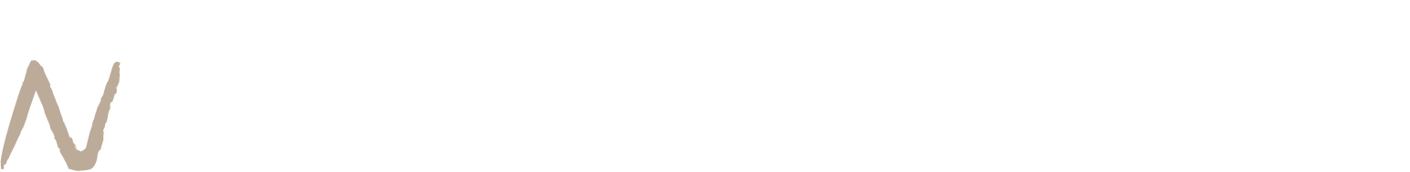 Waldencast Logo groß für dunkle Hintergründe (transparentes PNG)