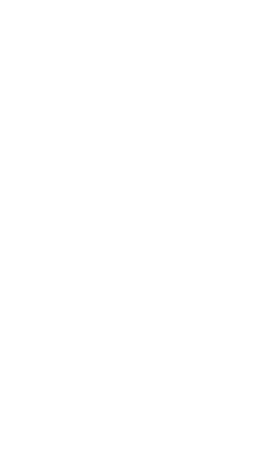 Wallbox Logo für dunkle Hintergründe (transparentes PNG)