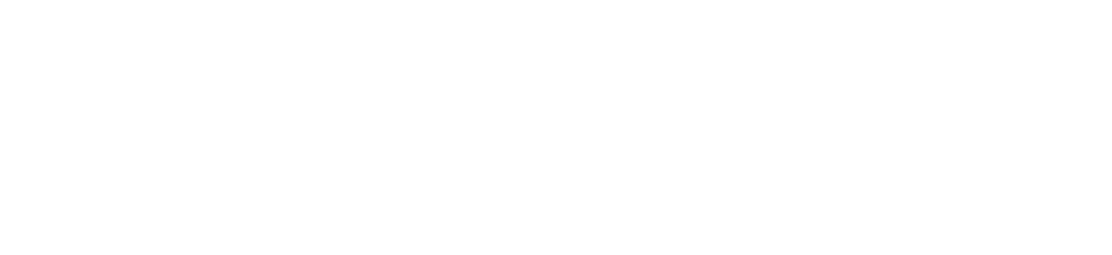 Wallbox Logo groß für dunkle Hintergründe (transparentes PNG)