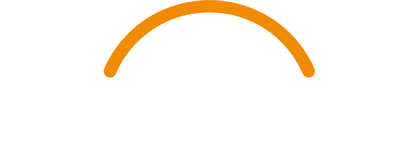 Workday logo large for dark backgrounds (transparent PNG)