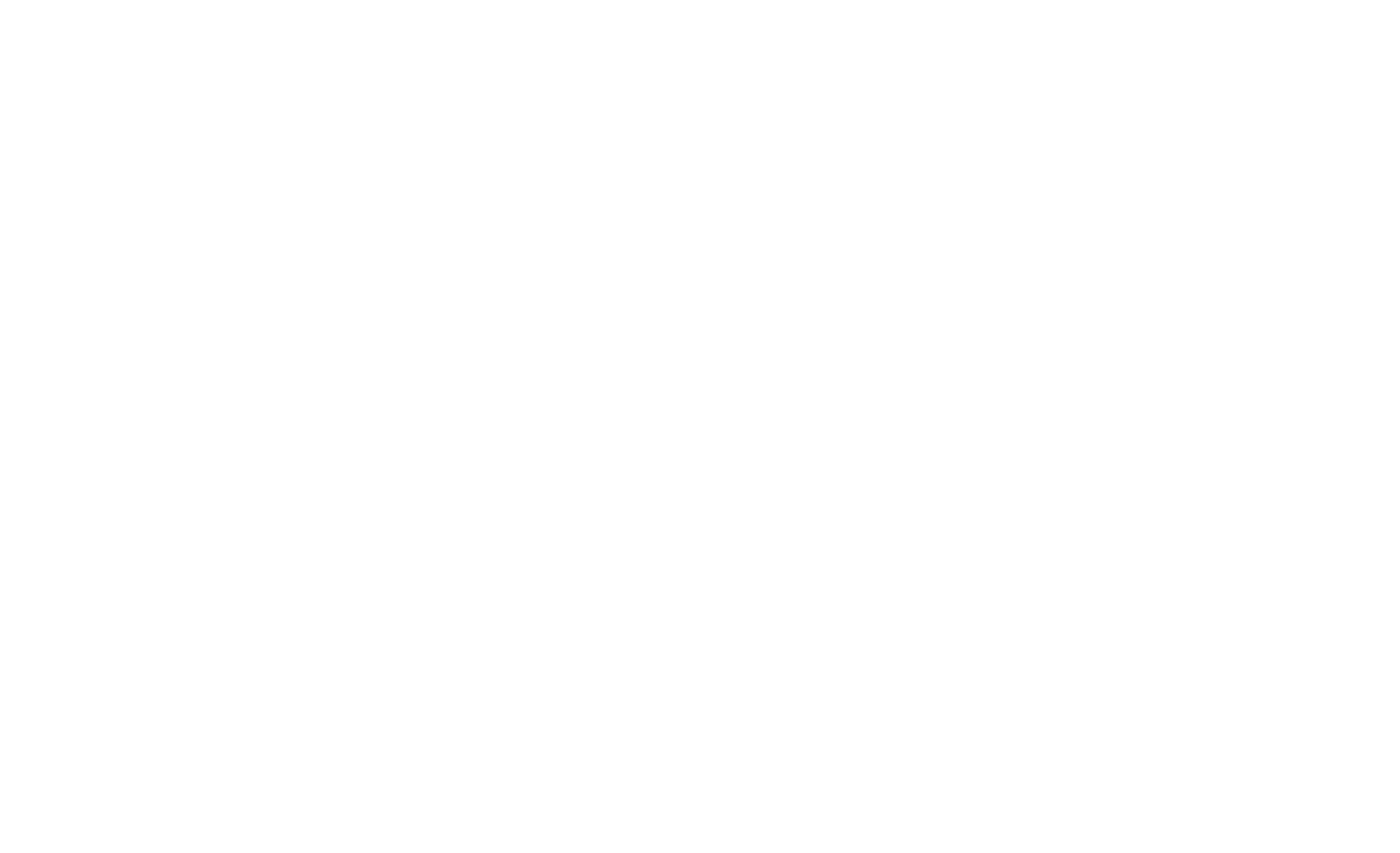 Western Digital logo for dark backgrounds (transparent PNG)