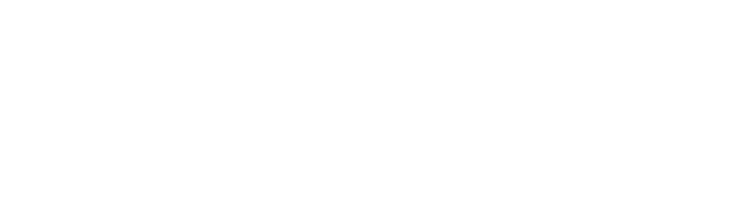 Western Digital logo large for dark backgrounds (transparent PNG)