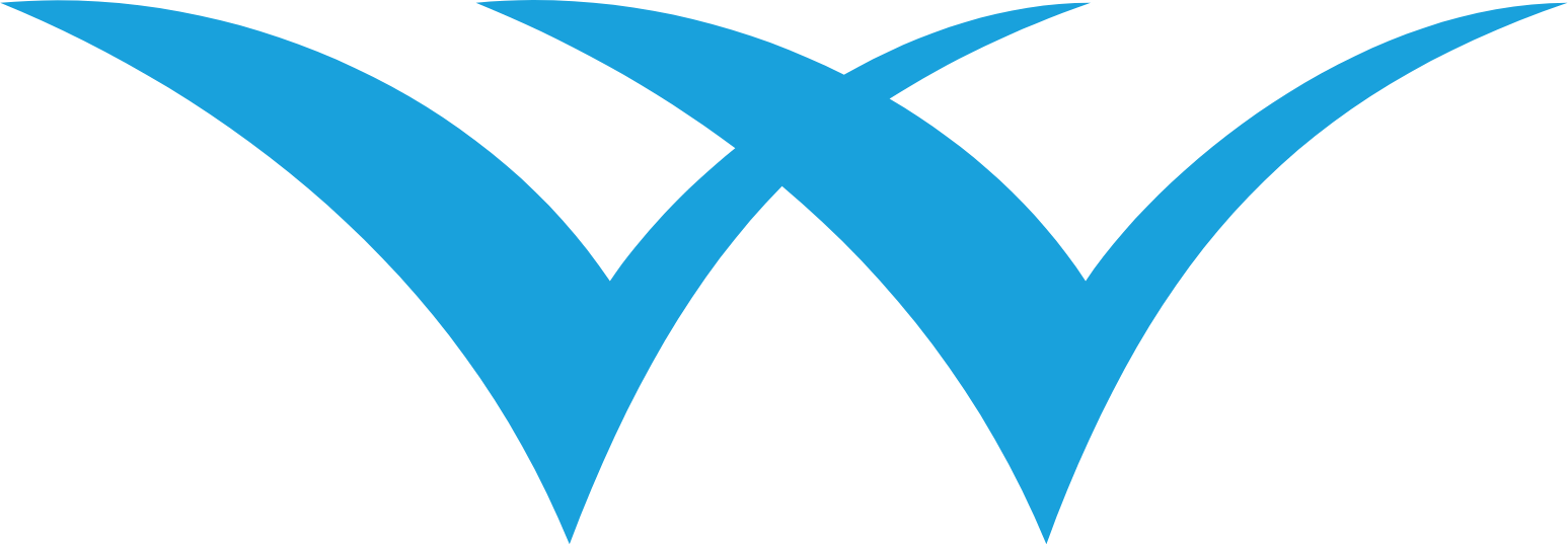 Welspun India Logo (transparentes PNG)