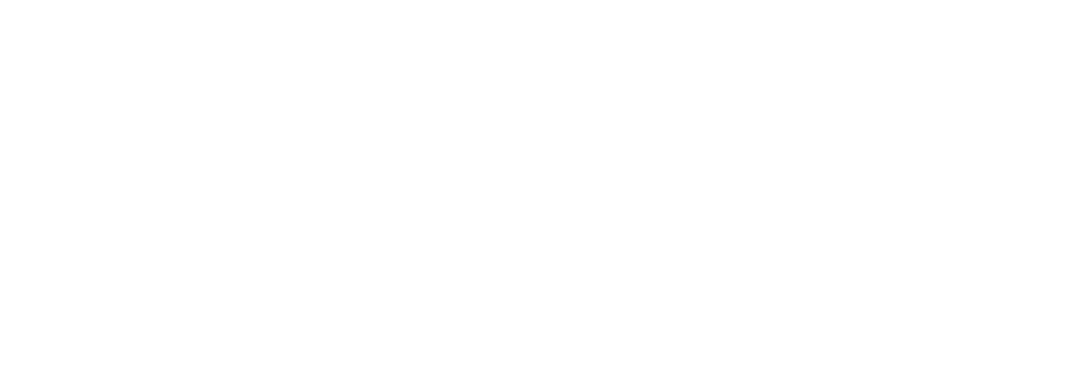 Welspun India logo for dark backgrounds (transparent PNG)