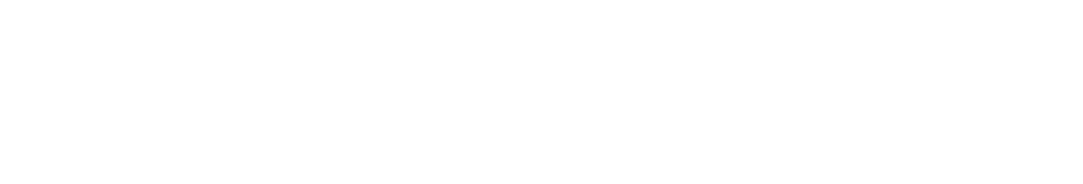 Welspun India logo grand pour les fonds sombres (PNG transparent)