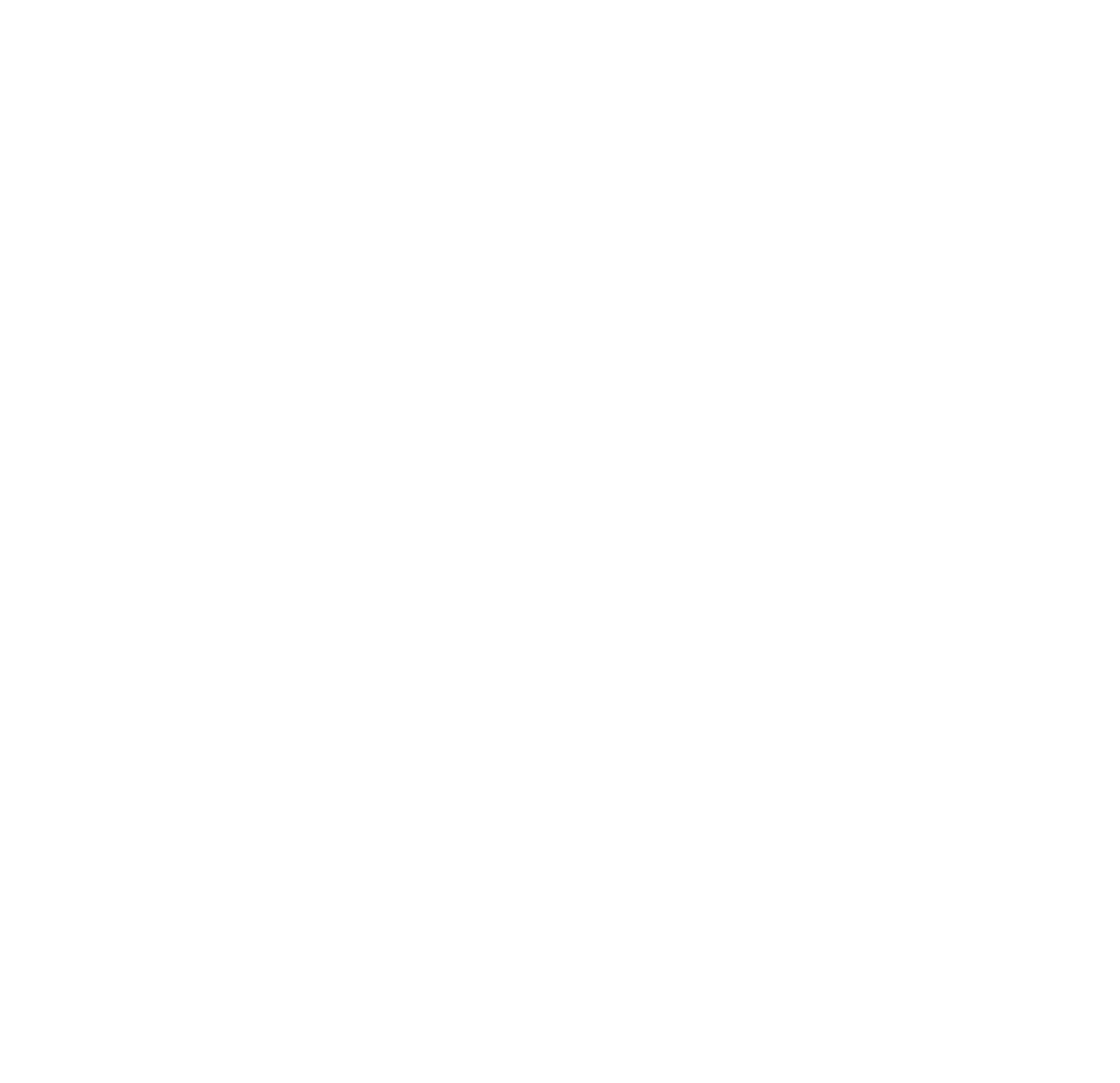 Wendt India
 logo on a dark background (transparent PNG)