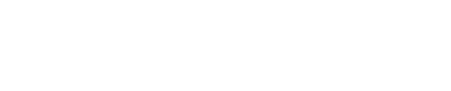 Wendt India
 logo fulle size on a dark background (transparent PNG)