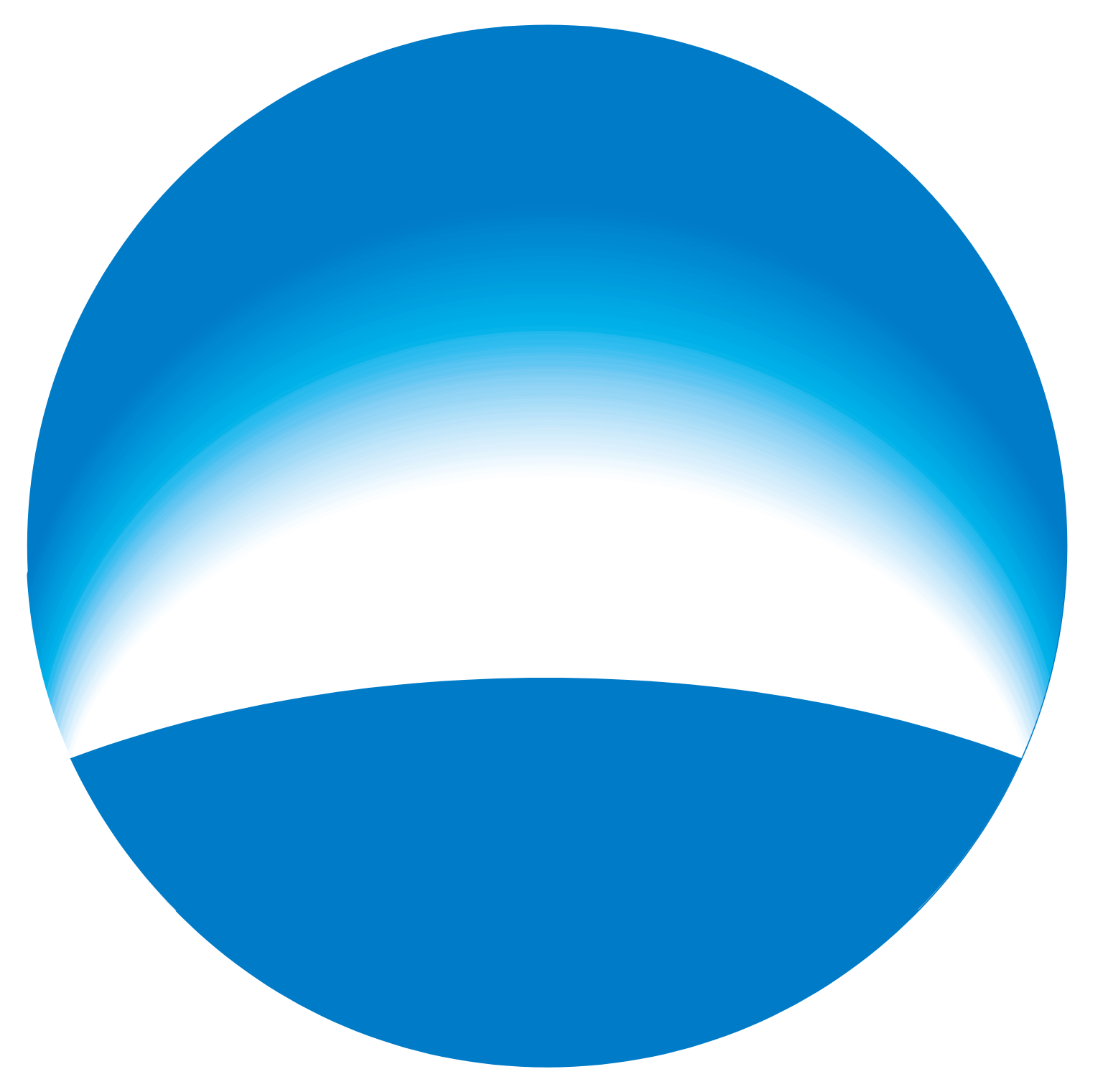 Woori Financial Group logo (transparent PNG)