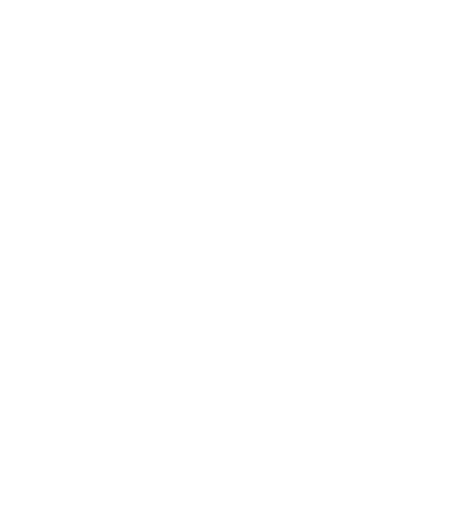 Wheels India Logo für dunkle Hintergründe (transparentes PNG)