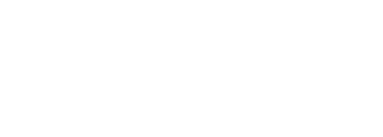 Wheels India Logo groß für dunkle Hintergründe (transparentes PNG)