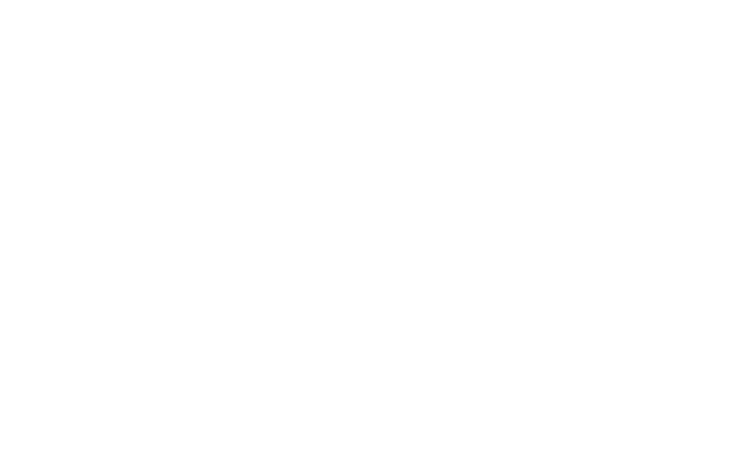 Wienerberger Logo für dunkle Hintergründe (transparentes PNG)