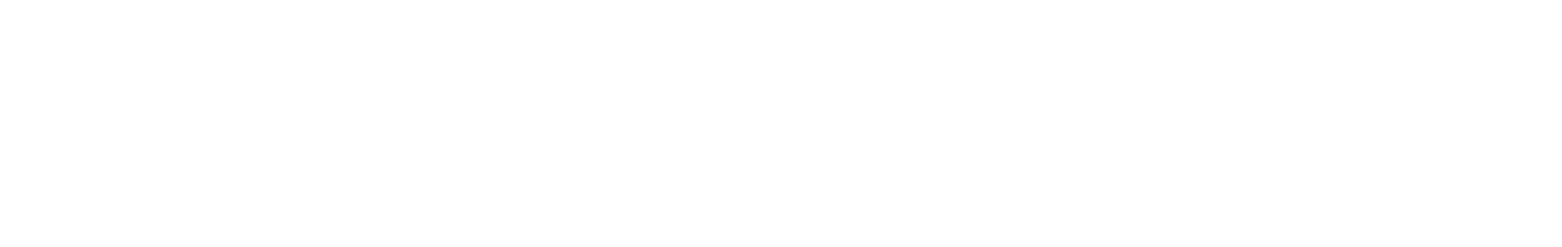Wienerberger logo large for dark backgrounds (transparent PNG)