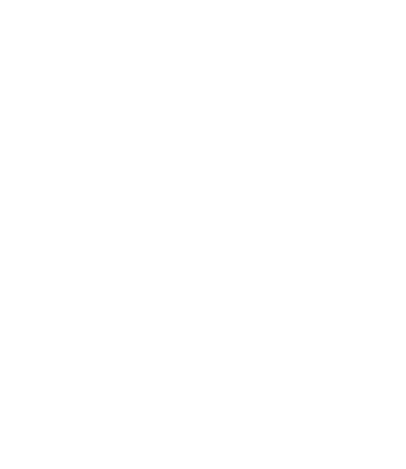 Sporttotal AG logo fulle size on a dark background (transparent PNG)