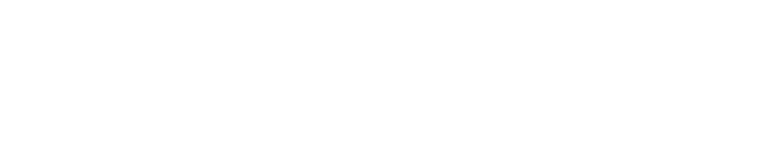 Encore Wire logo large for dark backgrounds (transparent PNG)