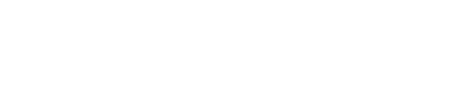 Wise PLC
 logo large for dark backgrounds (transparent PNG)