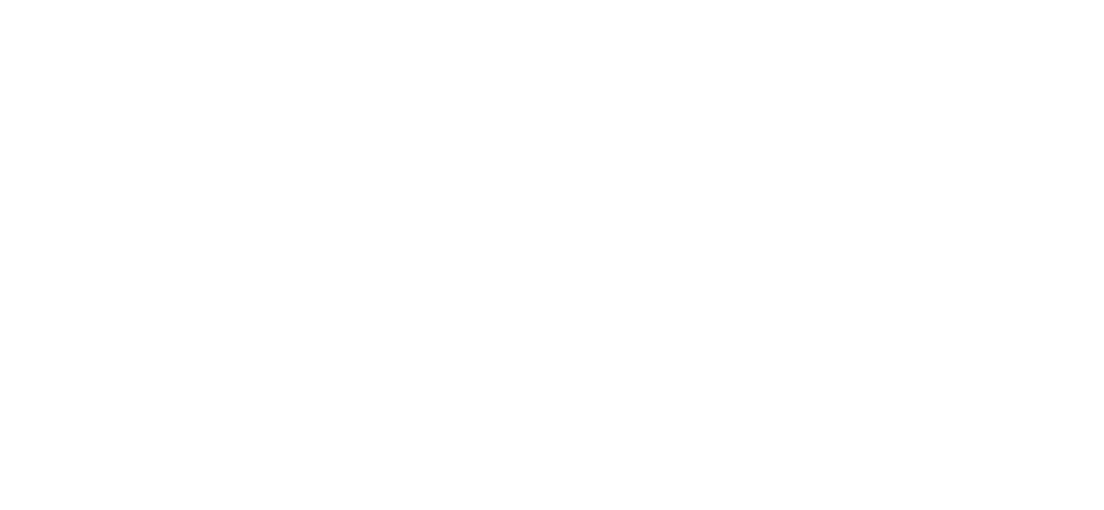 Wizz Air Logo für dunkle Hintergründe (transparentes PNG)