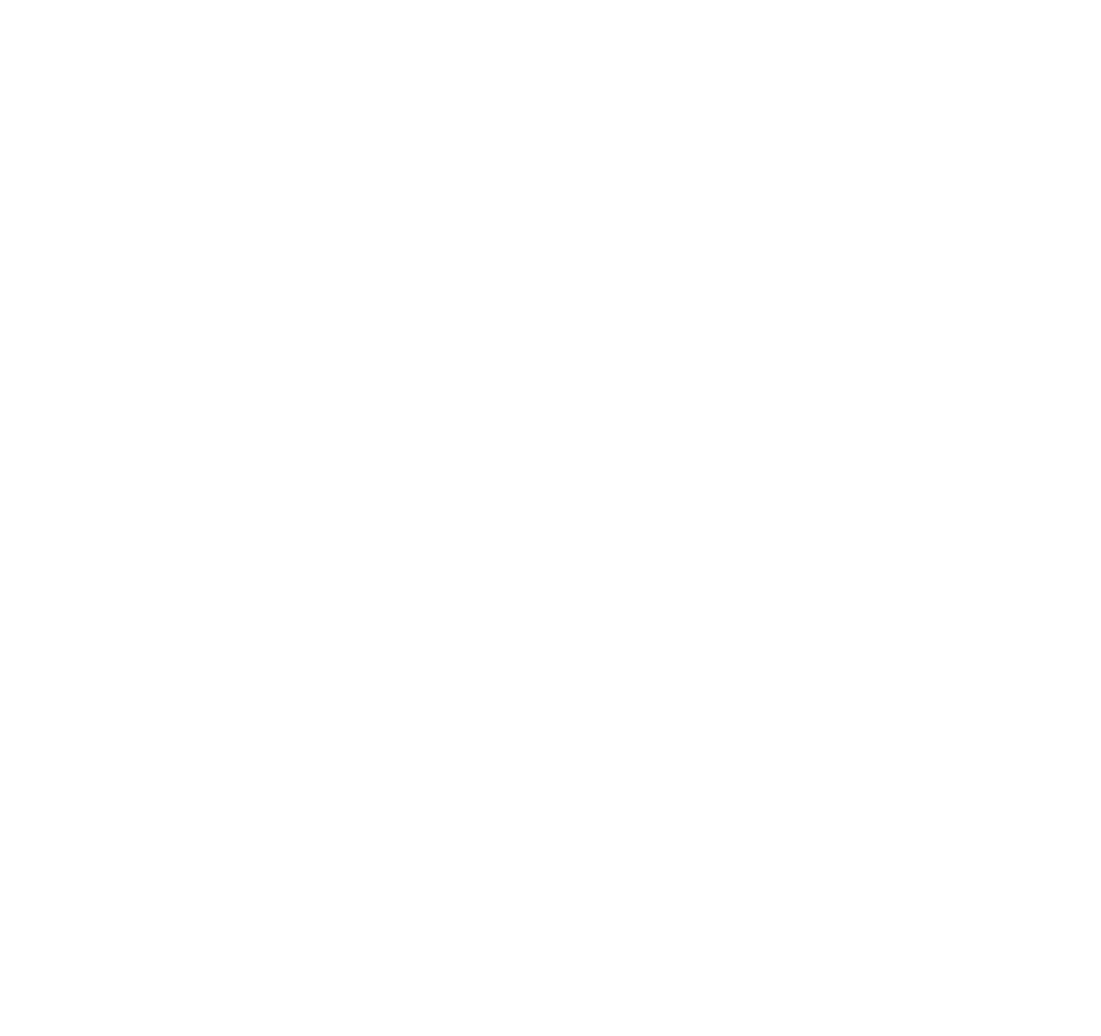 Willis Lease Finance Corporation Logo für dunkle Hintergründe (transparentes PNG)