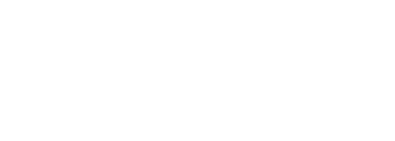 Willis Lease Finance Corporation Logo groß für dunkle Hintergründe (transparentes PNG)