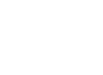 Wielton logo pour fonds sombres (PNG transparent)