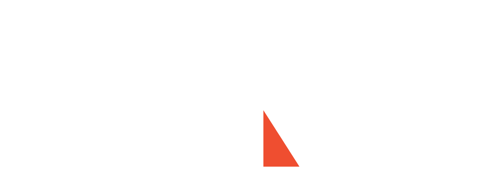 WNS logo for dark backgrounds (transparent PNG)