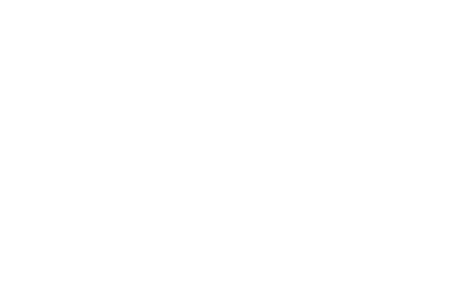 WPP logo for dark backgrounds (transparent PNG)