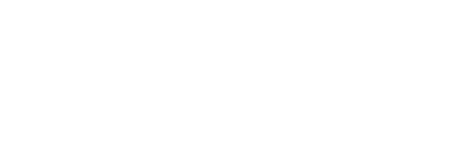 WPP logo large for dark backgrounds (transparent PNG)
