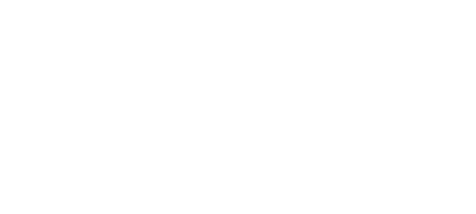 Eurowag Logo für dunkle Hintergründe (transparentes PNG)