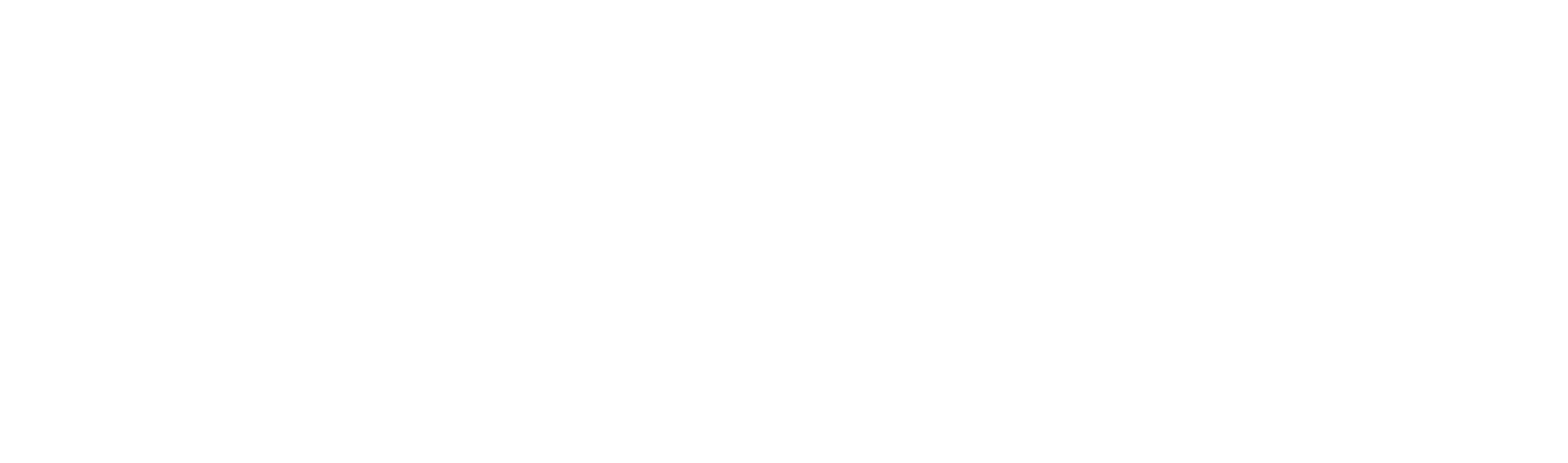 W. R. Berkley logo large for dark backgrounds (transparent PNG)