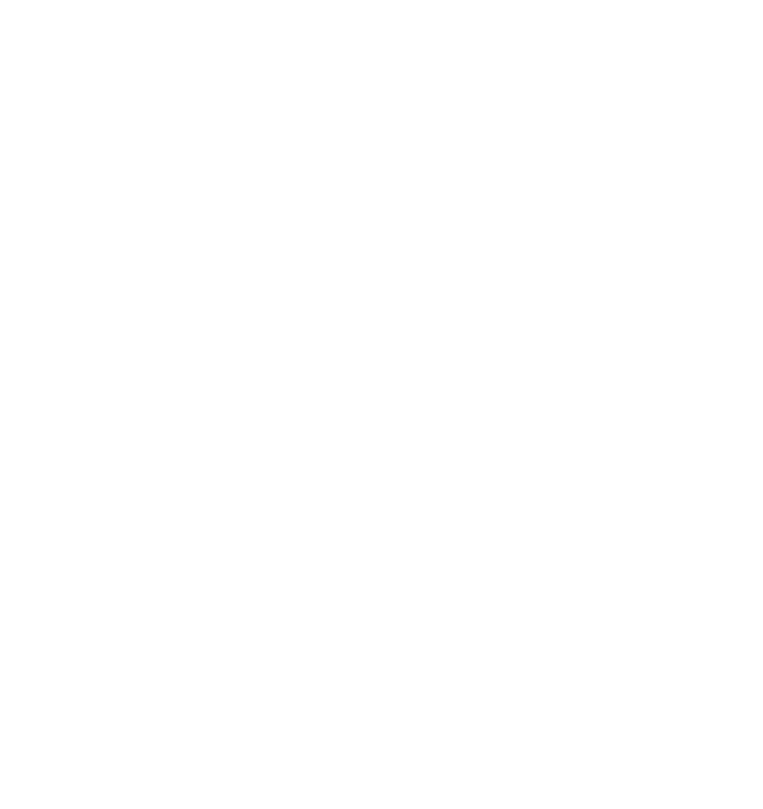 WeRide Logo für dunkle Hintergründe (transparentes PNG)