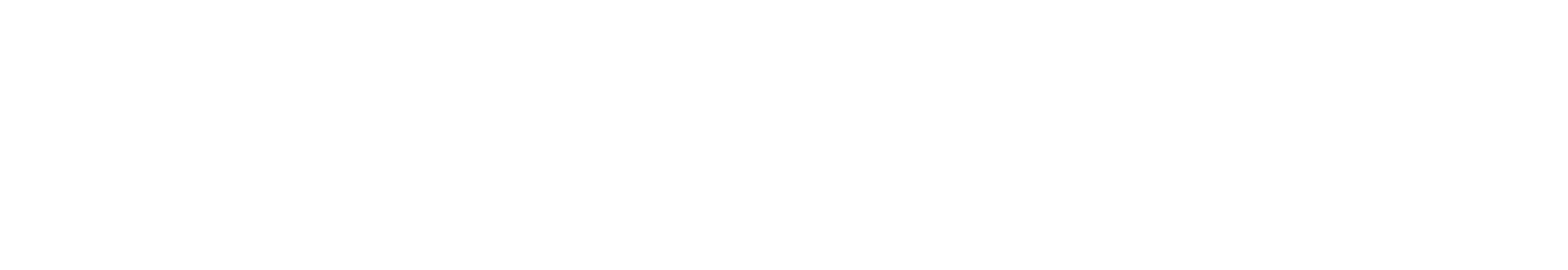 WSFS Financial logo large for dark backgrounds (transparent PNG)
