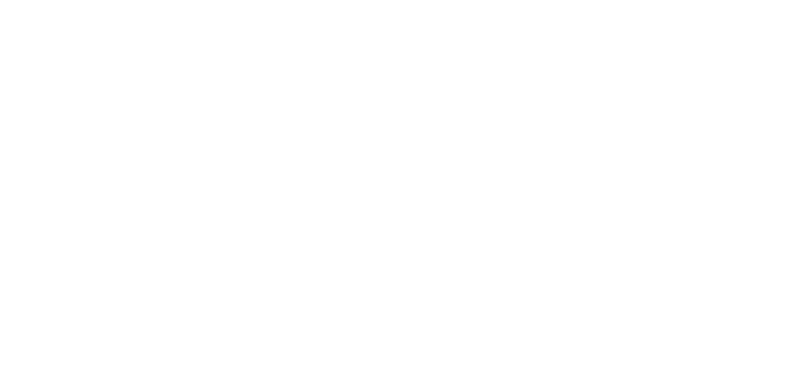 WSP Global
 logo for dark backgrounds (transparent PNG)