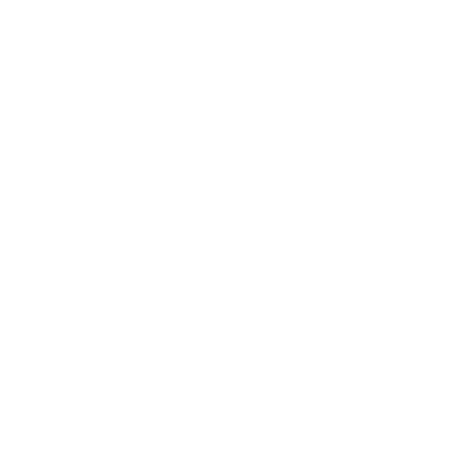 WiseTech Global
 Logo für dunkle Hintergründe (transparentes PNG)