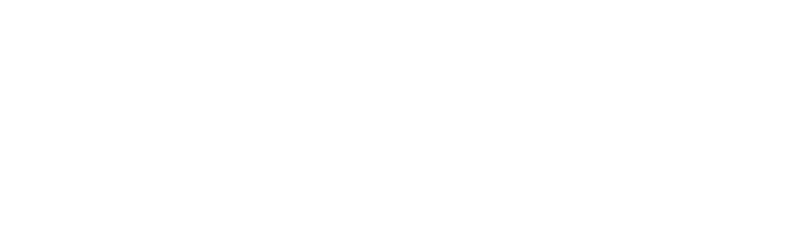 WiseTech Global
 Logo groß für dunkle Hintergründe (transparentes PNG)