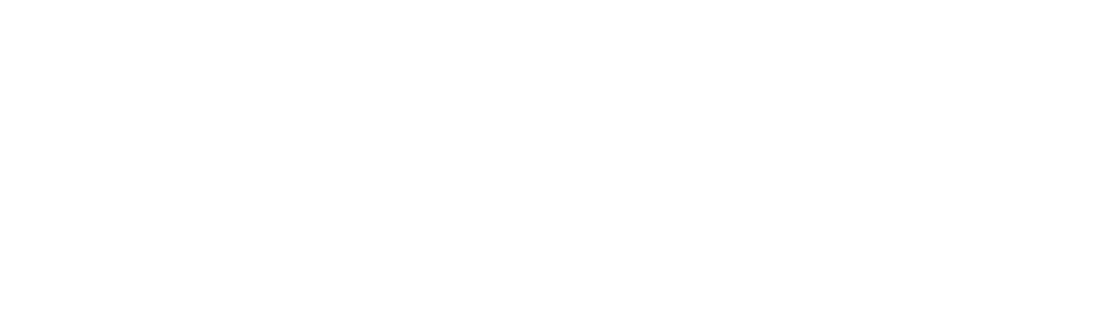 Weight Watchers logo large for dark backgrounds (transparent PNG)