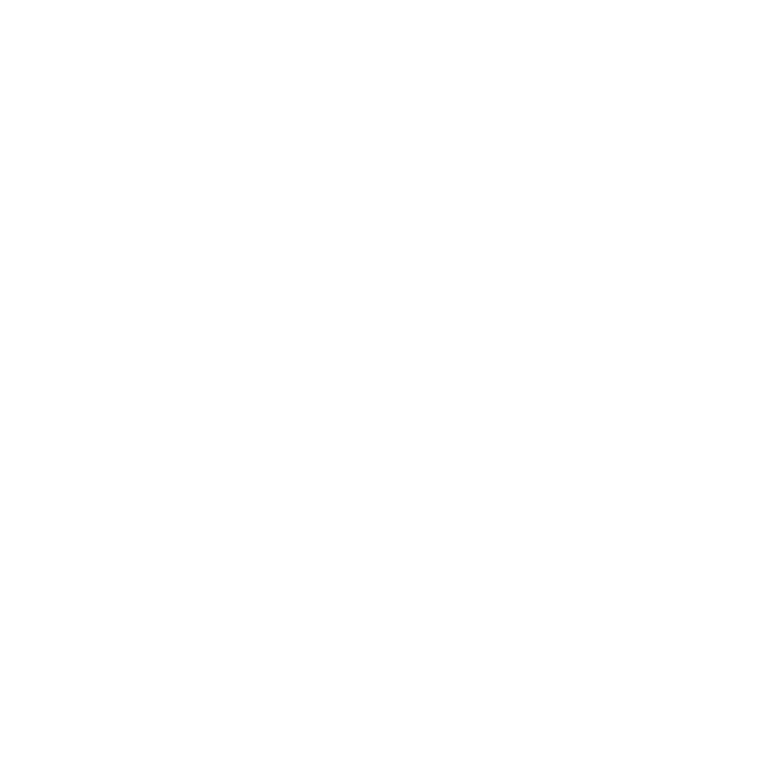 Xcel Energy logo for dark backgrounds (transparent PNG)