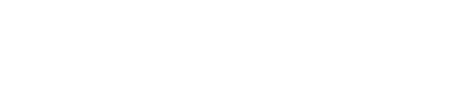 Xcel Energy logo large for dark backgrounds (transparent PNG)