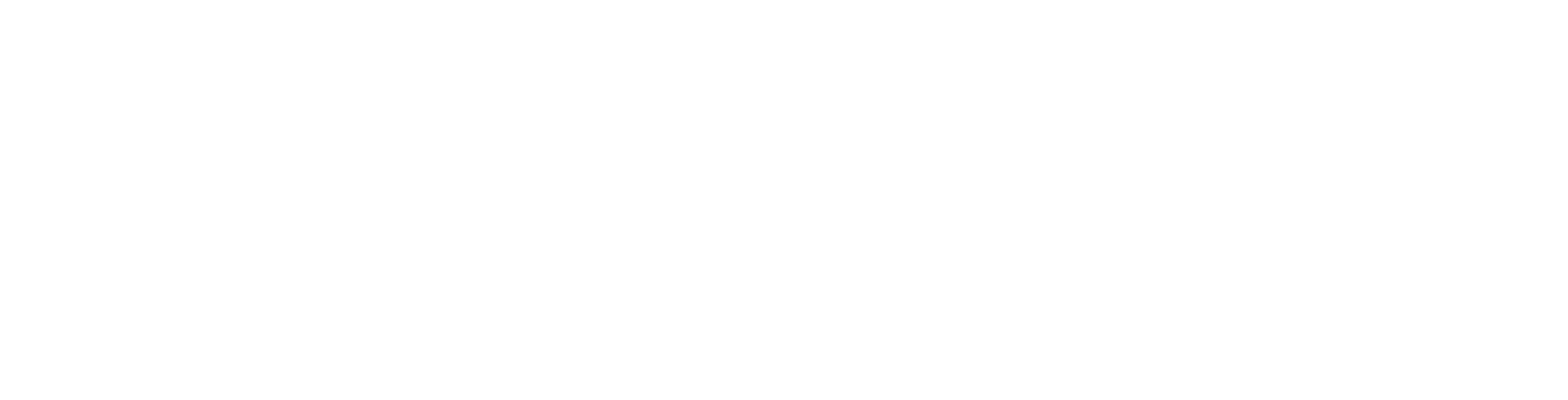 XPEL Vision official logo