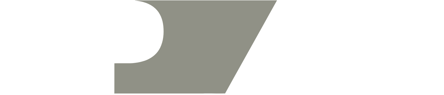 XP Inc. logo large for dark backgrounds (transparent PNG)
