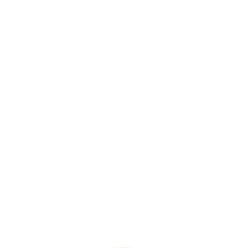 YanGuFang International Group logo for dark backgrounds (transparent PNG)
