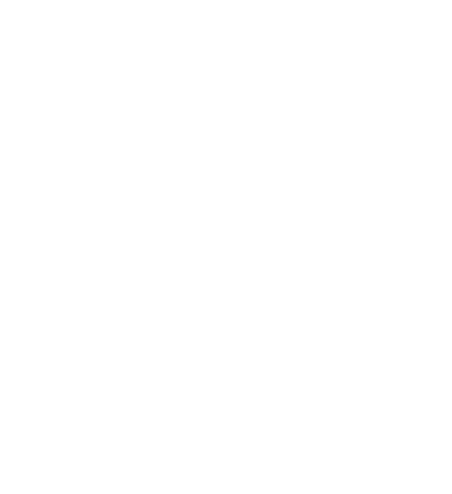 029 Group logo on a dark background (transparent PNG)