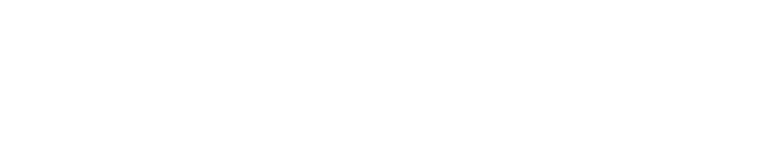 Zenvia Logo groß für dunkle Hintergründe (transparentes PNG)