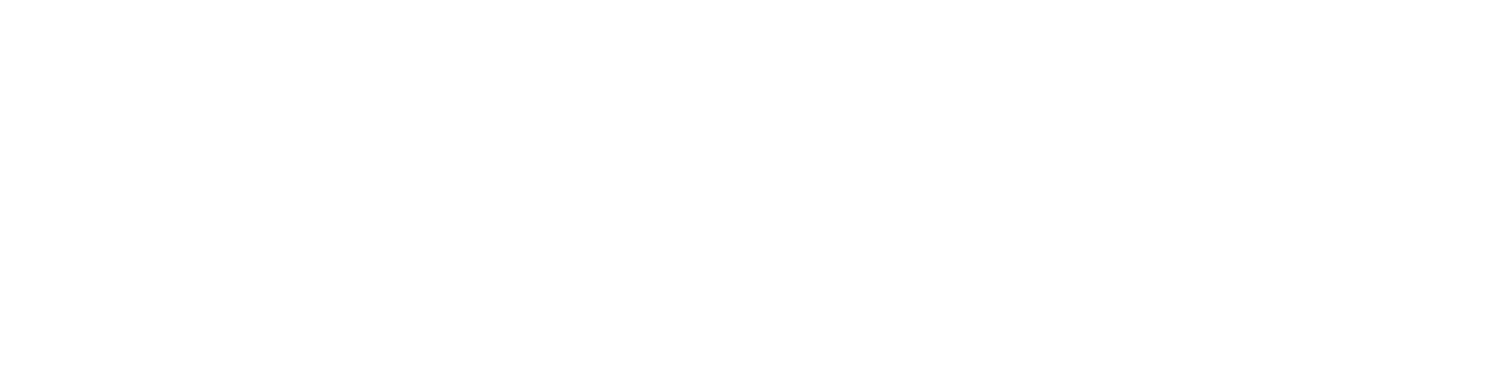 Zeekr Logo groß für dunkle Hintergründe (transparentes PNG)