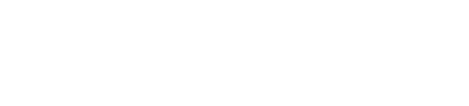 Zoom logo pour fonds sombres (PNG transparent)