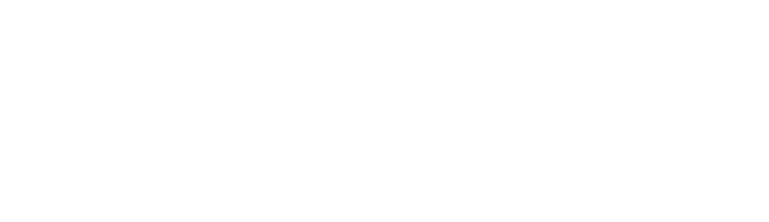 zSpace Logo groß für dunkle Hintergründe (transparentes PNG)