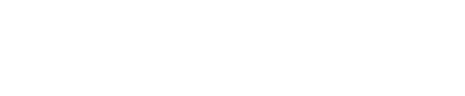 Zscaler logo large for dark backgrounds (transparent PNG)