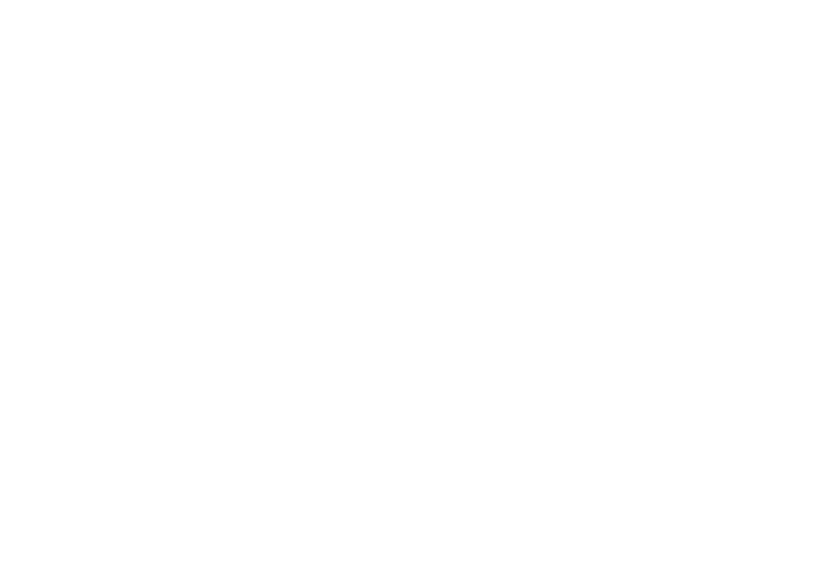 Zoetis logo for dark backgrounds (transparent PNG)