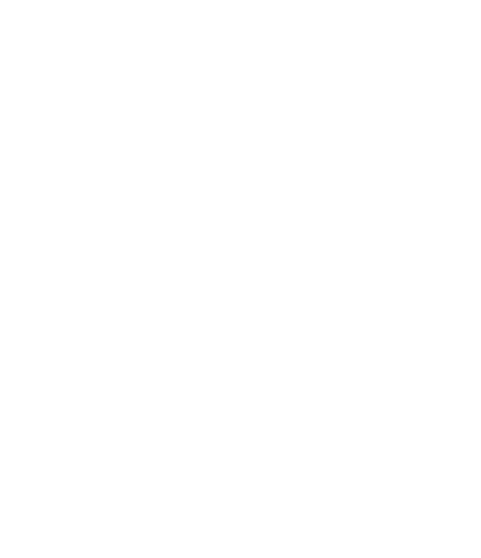 Züblin Immobilien logo on a dark background (transparent PNG)